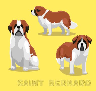 Köpek Saint Bernard Çizgi Film Vektörü İllüstrasyonu