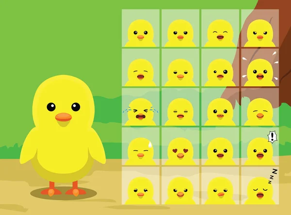 Farm Chick Cartoon Emotion Twarze Wektor Ilustracja — Wektor stockowy