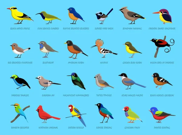 Illustration Vectorielle Bande Dessinée Colorée Pour Petits Oiseaux — Image vectorielle