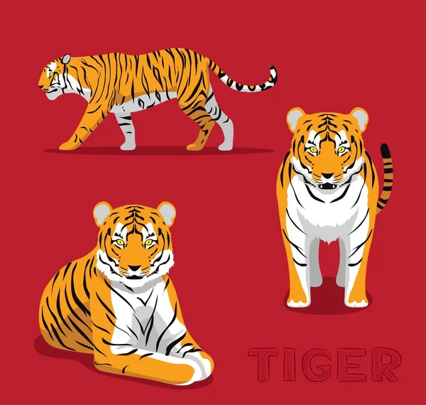 Panthera Tygrys Kreskówki Wektor Ilustracji — Wektor stockowy
