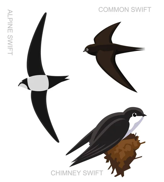 Bird Swift Set Cartoon Vector Ilustração — Vetor de Stock