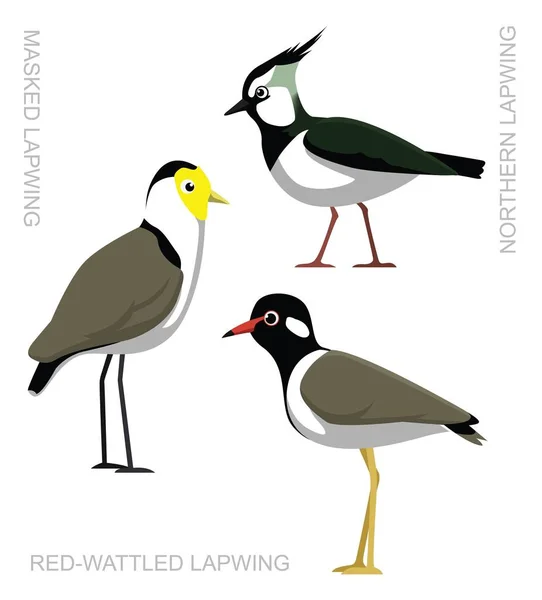 Bird Lapwing Set Cartoon Vector Ilustração — Vetor de Stock