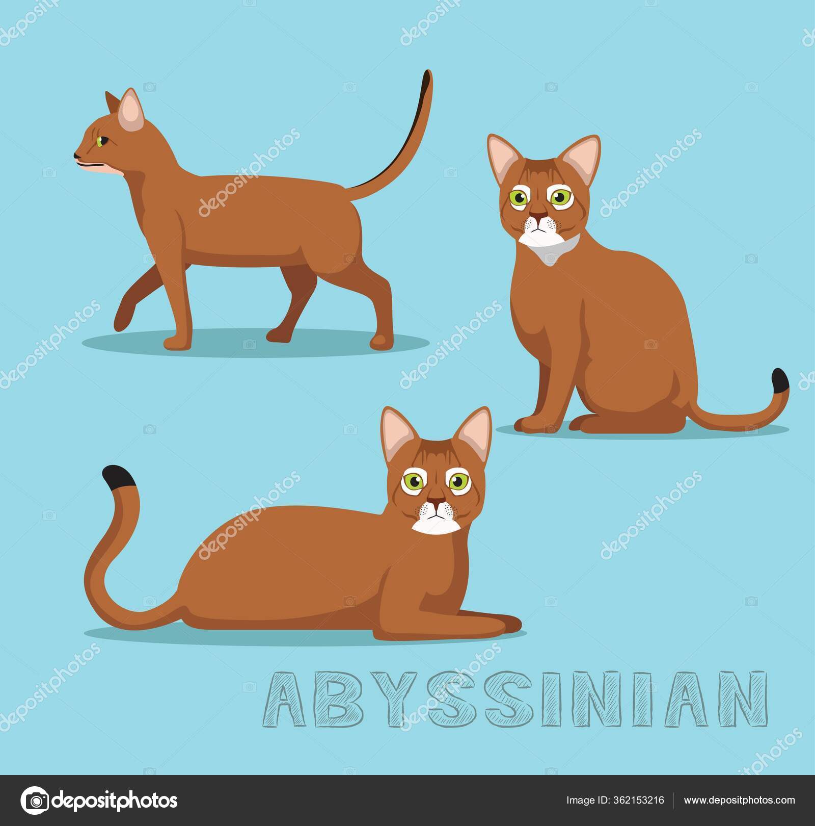 Cat Abyssinian Cartoon Vector Illustration Stock Vector by
