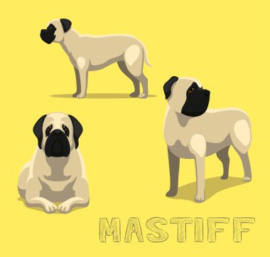 Köpek Mastiff Çizgi Film Vektör İllüstrasyonu