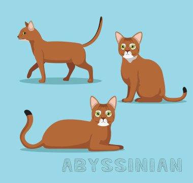 Cat Abyssinian Çizgi Film Vektörü İllüstrasyonu