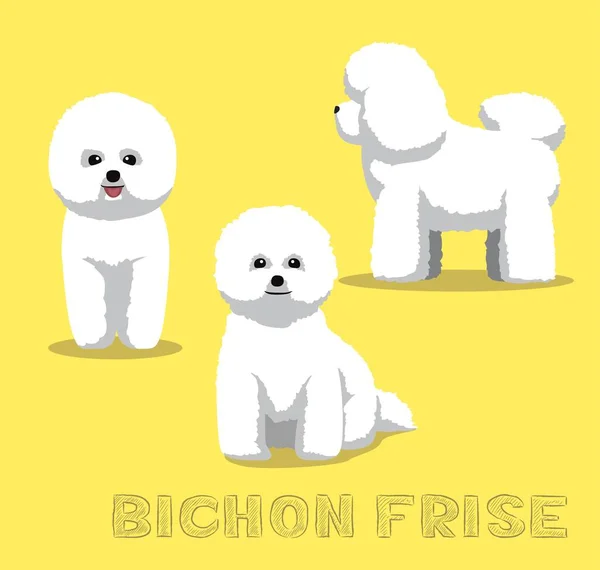 Dog Bichon Frise การ นเวกเตอร ภาพประกอบ — ภาพเวกเตอร์สต็อก