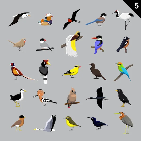 Verschiedene Vögel Cartoon Vector Illustration — Stockvektor