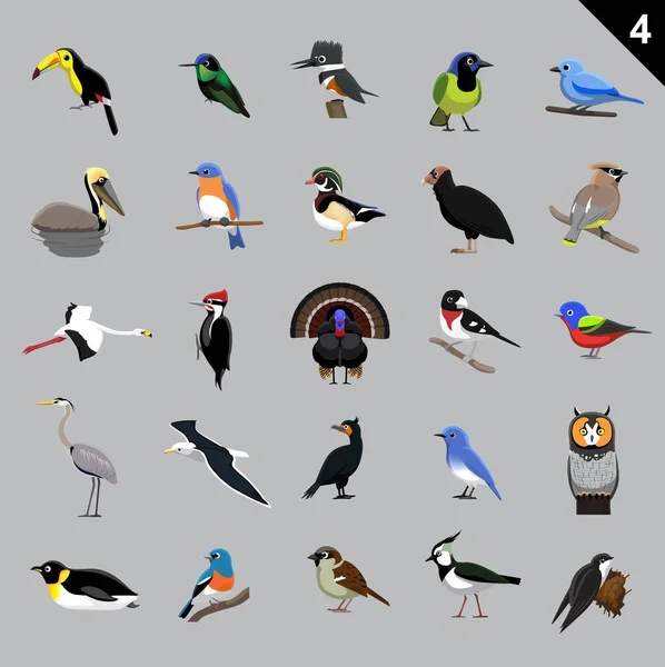 Diverse Vogels Cartoon Vector Illustratie — Stockvector