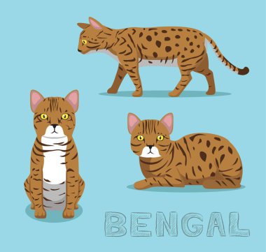 Kedi Bengal Çizgi Filmi Vektör İllüstrasyonu
