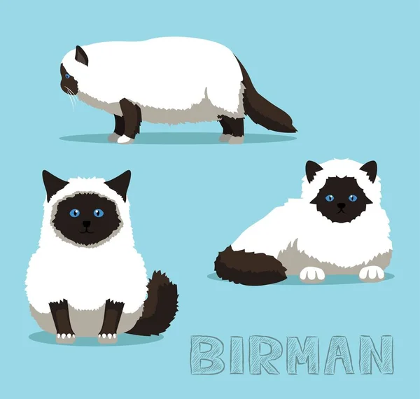 Illustrazione Del Vettore Del Fumetto Cat Birman — Vettoriale Stock