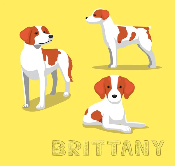 Dog Brittany การ นเวกเตอร ภาพประกอบ — ภาพเวกเตอร์สต็อก