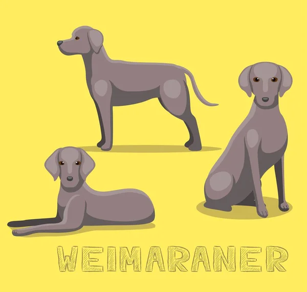 Köpek Weimaraner Çizgi Film Vektörü Llüstrasyonu — Stok Vektör