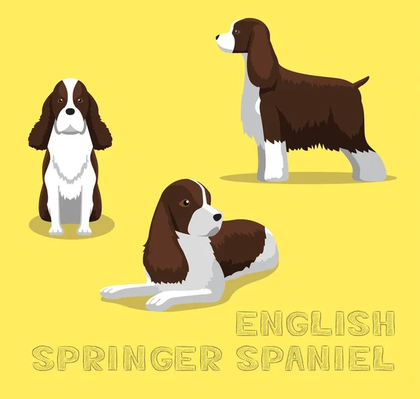 Cão Inglês Springer Spaniel Cartoon Vector Ilustração —  Vetores de Stock