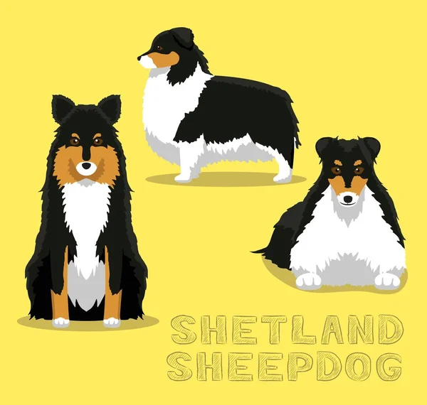 Dog Shetland Sheepdog Cartoon Vector Ilustração — Vetor de Stock