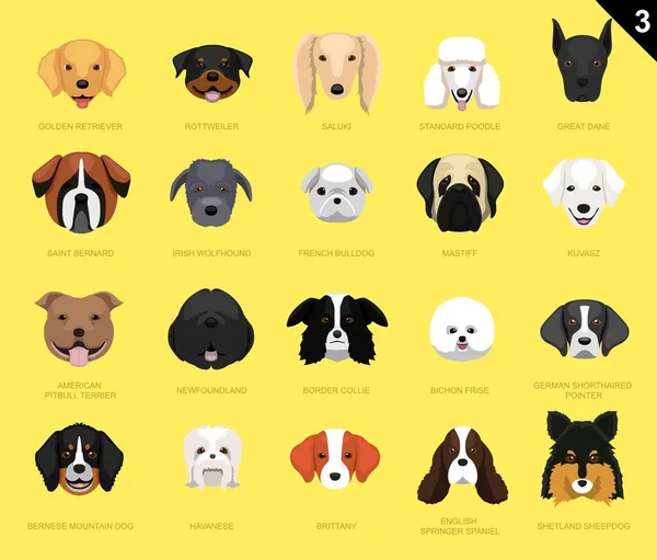 Hund Gesichter Ikone Cartoon — Stockvektor