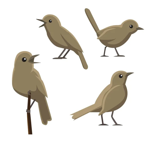 Vogel Poses Nightingale Vector Illustratie — Stockvector