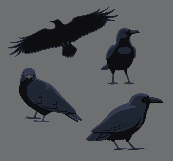 Illustrazione Comune Del Vettore Del Corvo Delle Pose Dell Uccello — Vettoriale Stock