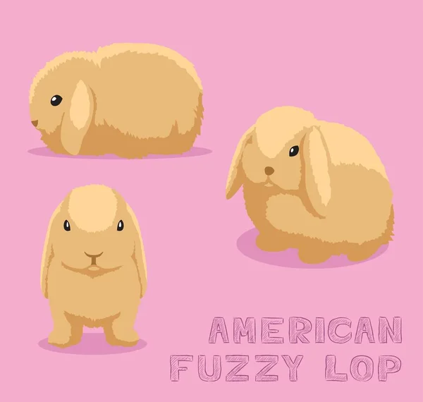 Conejo Americano Fuzzy Lop Dibujos Animados Vector Ilustración — Archivo Imágenes Vectoriales