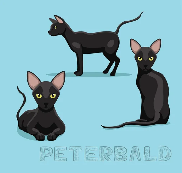 Ilustración Vectores Dibujos Animados Gato Peterbald — Archivo Imágenes Vectoriales