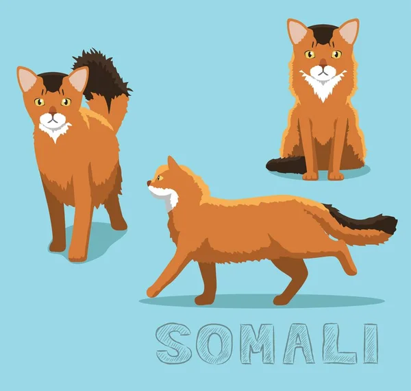Cat Somali Cartoon Vector Illustratie — Stockvector