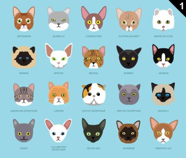 Kedi Simgeye Karşı Çizgi Film 1