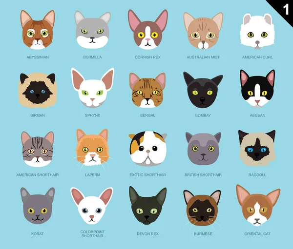 Kattengezichten Pictogram Tekenfilm — Stockvector