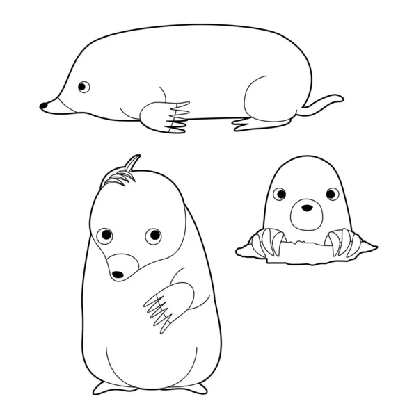 Cute Mole Poses Cartoon Vector Illustration Coloring — Stock Vector