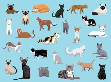 25 Kedi Yetiştiren Çizgi film Vektör İllüstrasyonu
