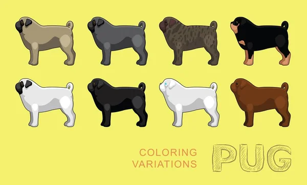 Dog Pug Coloring Variations Vector Illustration — Stock Vector