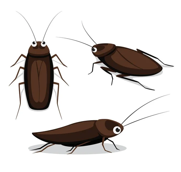 Cute Cockroach Poses Cartoon Vector Illustration — Stock Vector