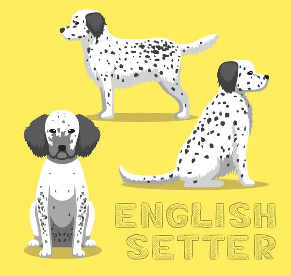 Dog English Setter การ นเวกเตอร ภาพประกอบ — ภาพเวกเตอร์สต็อก