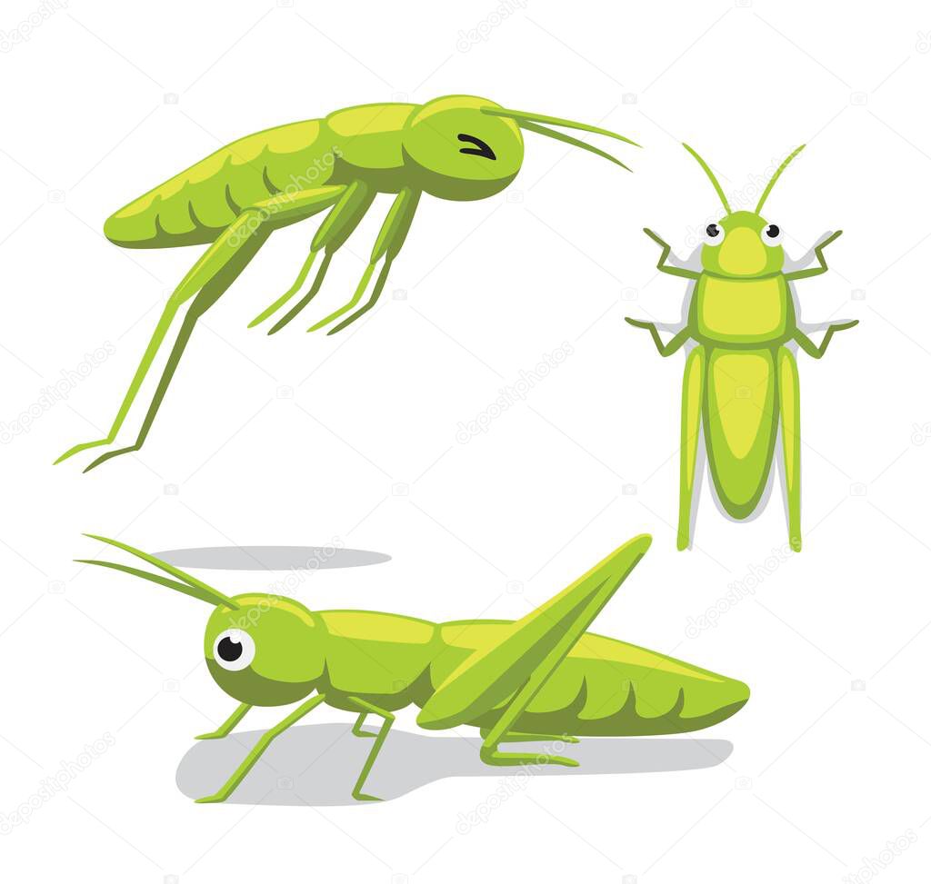 Cute Grasshopper Poses Cartoon Vector Illustration