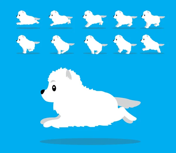 Animation Animale Séquence Chien Samoyed Cartoon Vector — Image vectorielle
