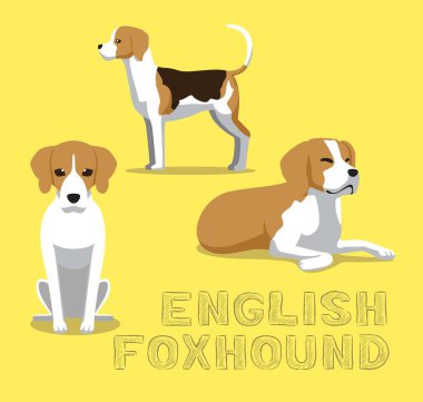 Dog English Foxhound Çizgi Film Vektörü İllüstrasyonu