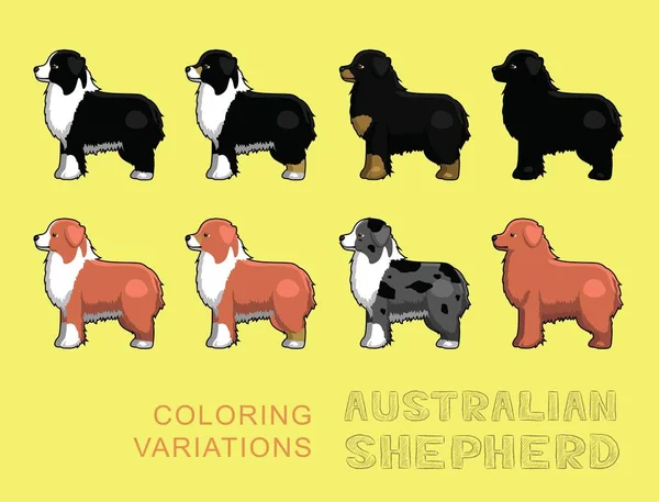 Variasi Pewarnaan Gembala Australia Anjing Vector Illustration - Stok Vektor