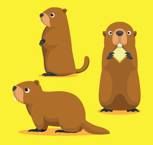 Bonito Marmot Cartoon Vector Ilustração — Vetor de Stock