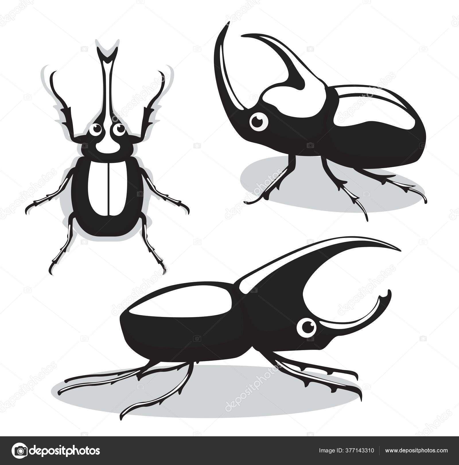 Scarabee Rhinocerosストックベクター ロイヤリティフリーscarabee Rhinocerosイラスト ページ 2 Depositphotos