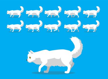 Hayvan Animasyon Dizisi Kedi Amerikan Curl Çizgi Film Vektörü