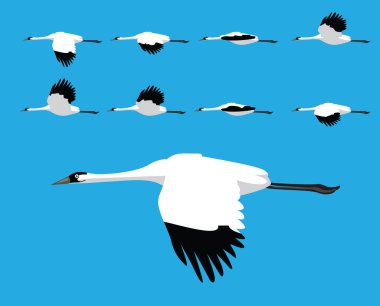 Kuş Avlayan Turna Uçan Karikatür Vektör Canlandırma Çerçevesi