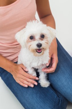 Malta köpek kadınla