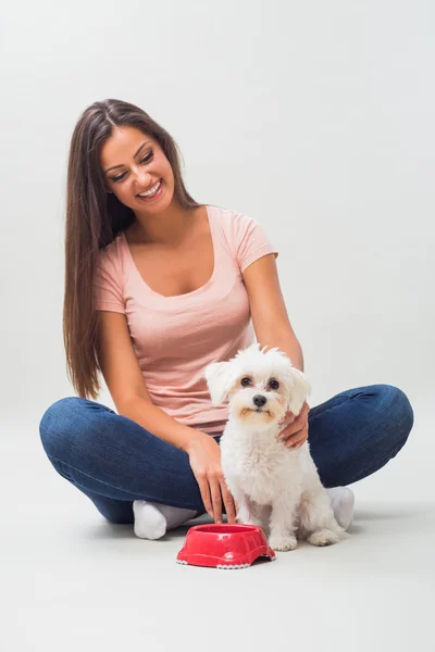 Женщина с мальтийской собакой и миской — стоковое фото