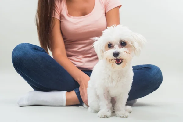Женщина с мальтийской собакой — стоковое фото