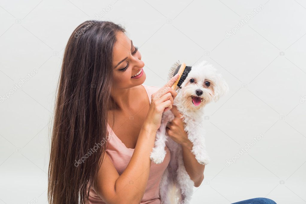 woman combing her maltese dog