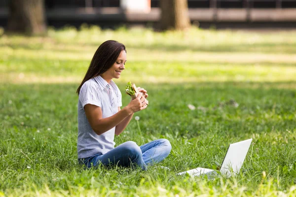 Donna d'affari mangiare sandwich e utilizzando il computer portatile — Foto Stock