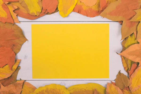Порожній жовтий папір з пофарбованим листям — стокове фото