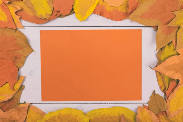 Оранжевая бумага с окрашенными листьями — стоковое фото