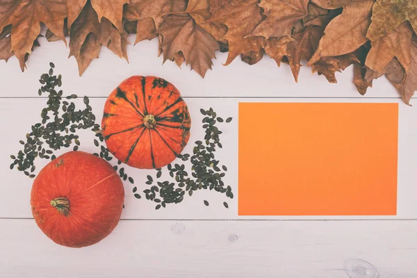 Kabak, kabak çekirdeği ve Kağıt ahşap masa ve sonbahar yaprakları