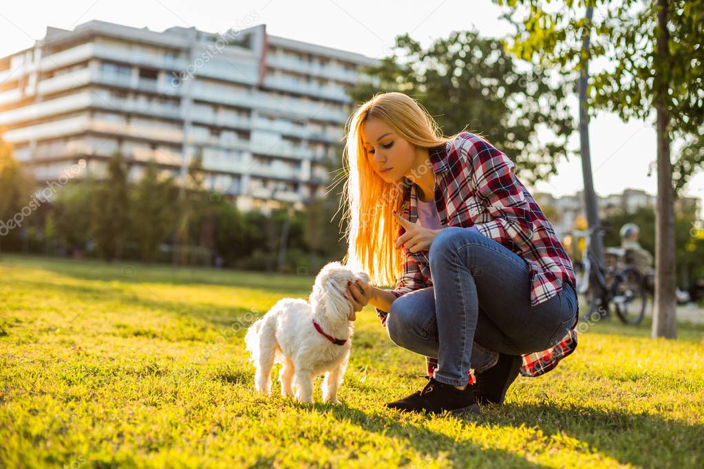Woman scolding her Maltese dog while they spending time in the park.
