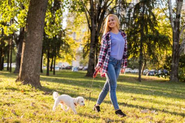 Parkta Malta köpeğiyle yürüyen güzel bir kadın..