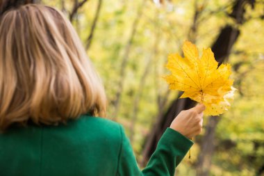 Woman holding fall leafs and enjoy in autumn while standing in the park.